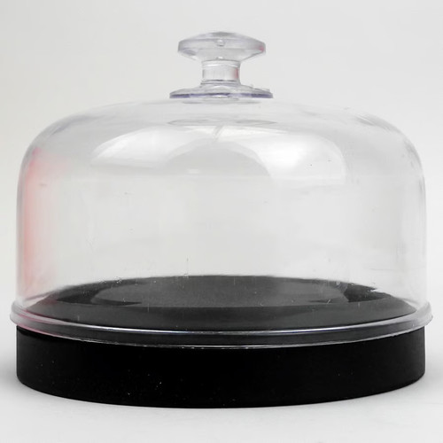Economy case cushion - economy, watch